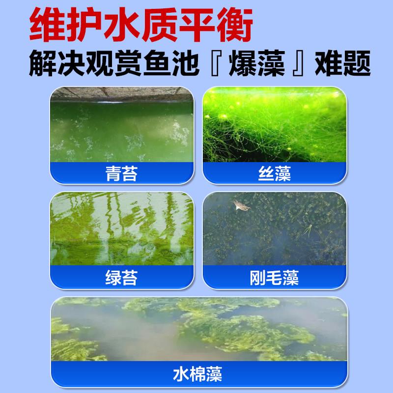 藻锦鲤池塘青清除剂除净绿黑毛水藻丝苔藻鱼池鱼缸绿水20260310变