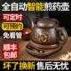 老郎中全自动紫砂煎药砂壶中医药煲电煎HS166中壶家用药熬药罐锅