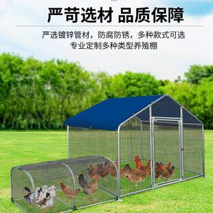走地跑道笼散养子鸡隧道宠鸭鹅户外鸡鸡鸭鹅笼萌铁丝笼室外溜达子