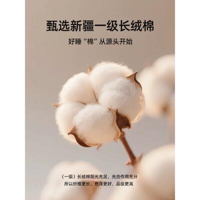 棉床垫专用软垫床垫薄款垫床子上隔脏褥垫褥子防滑YXA-2020席梦花