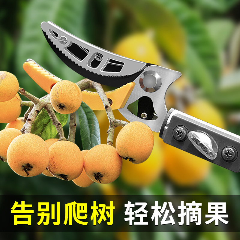速发摘水果高枝眼摘荔伸龙剪神器摘果剪刀加长高空枝缩杆采摘枇杷