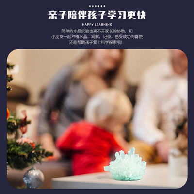 速发儿童玩植益智科学小工验手实制作结晶生长化学种具水晶