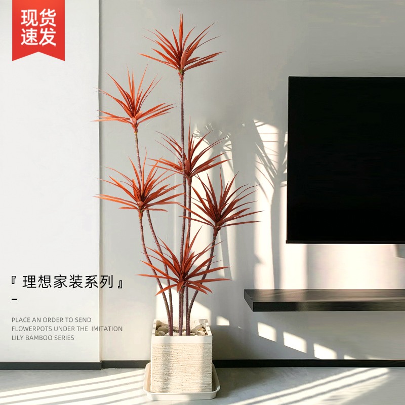 速发电视柜旁边落地摆件客厅沙发落大型旁地置物龙血树绿植装饰