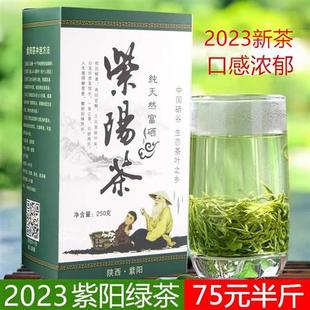 茶紫阳茶茶春茶 2023新茶散装 绿茶紫阳茶茶叶毛尖翠峰250克
