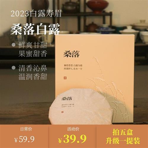 【深山行】福鼎白茶 2023桑落白露 寿眉饼150克/饼 管阳高山茶饼