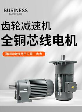 保护减速电机380V卧式200W/400W750W变频调速1500W立式齿轮减速器