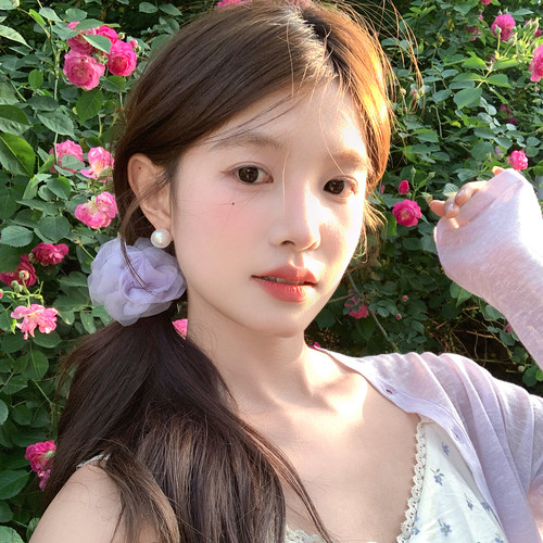 【我的脸很圆】春夏清新网纱花朵抓夹半扎发公主头小花抓夹发饰女
