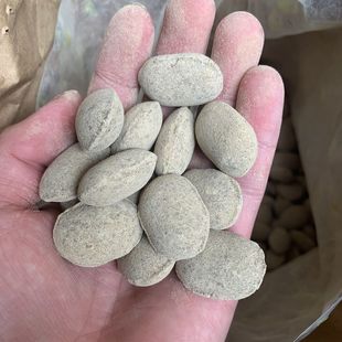 盆栽苗木盆景颗粒 到货 长效缓释肥12 6肥效8个月