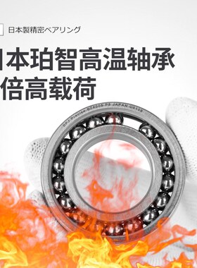 BPJ日本进口高温轴承BZ6208内径40*80*18耐高温300 500 800度