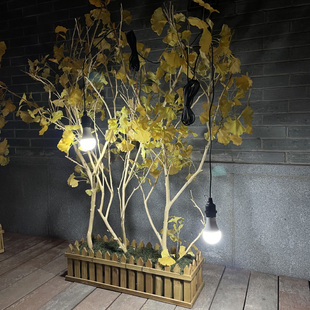 太阳能灯泡家用室内照明户外庭院门口超亮灯笼专用一拖二球泡灯