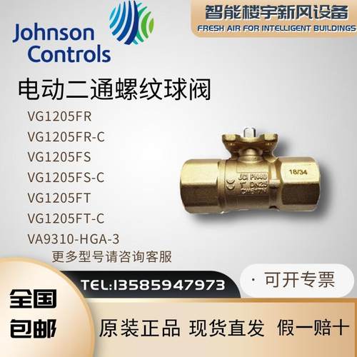 江森VG1205FR FS FT/-C电动二通螺纹球阀VA9310-HGA-3执行器DN50