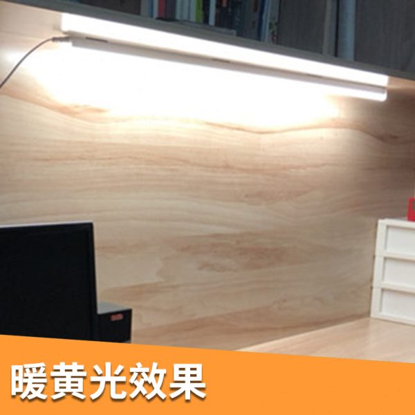 护眼LED台灯带开关学生宿舍阅读灯寝室学习书桌插电灯管家用超亮