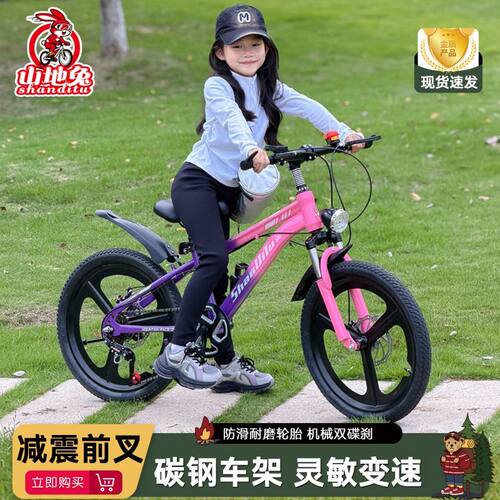小学生自行车6到12岁中大