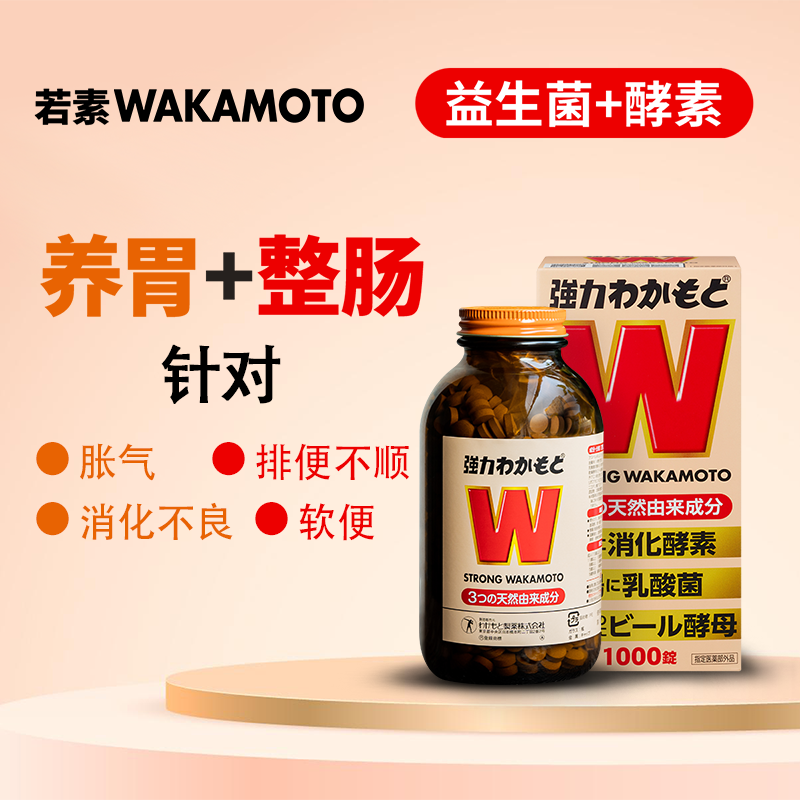 WAKAMOTO乳酸菌酵素丸健胃