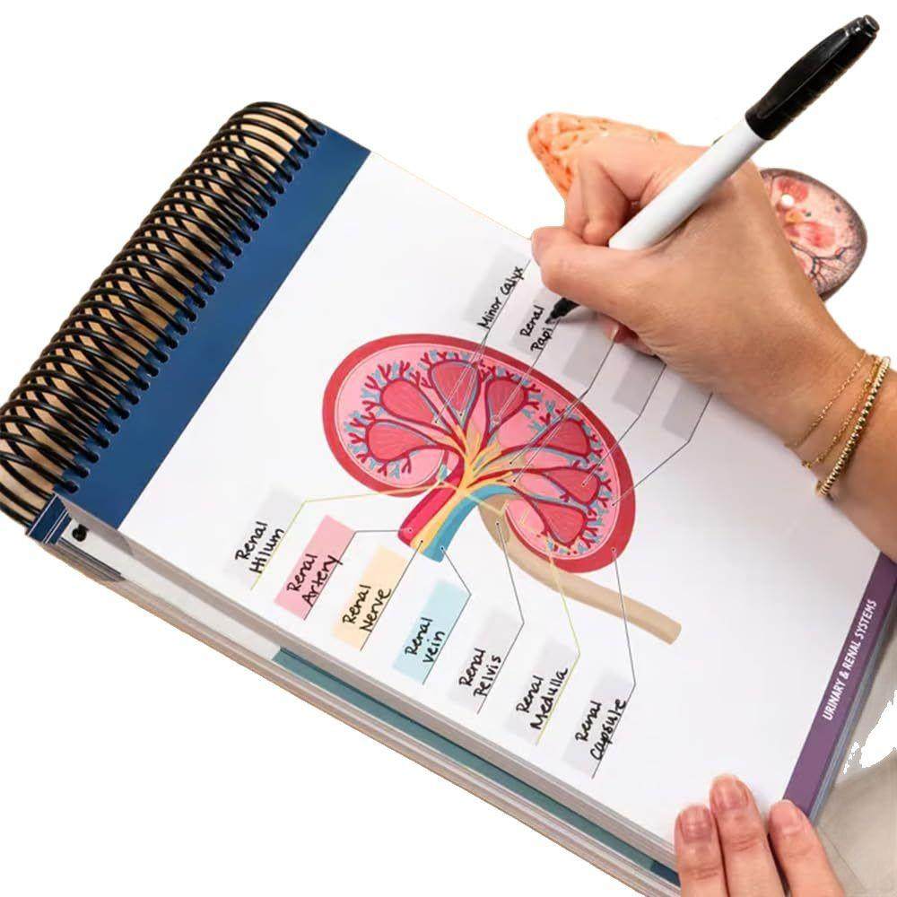 AnaomyLabelLabWorkbok解剖标签实验室o工作t簿,文具电教/文化用品/商务用品,手帐/日程本/计划本,淘宝优惠券,粉丝福利购,淘宝优惠卷