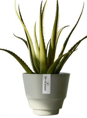 秋海棠多肉快跟植物塑料花盆黑胶环保热植植物专用树脂加厚小花盆