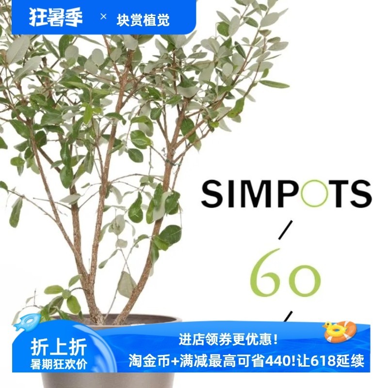 simpots国标20-60日本黑胶花盆客厅庭院极简抗uv粉化大型绿植盆