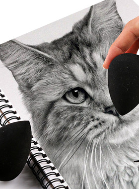 Charcoal Pencil Sketching Rubbing/Wiping Cotton Ball Washabl