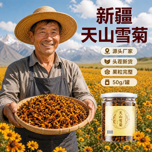 新疆特产昆仑雪菊正宗新疆天山雪菊天山菊花大朵菊花干自然风干