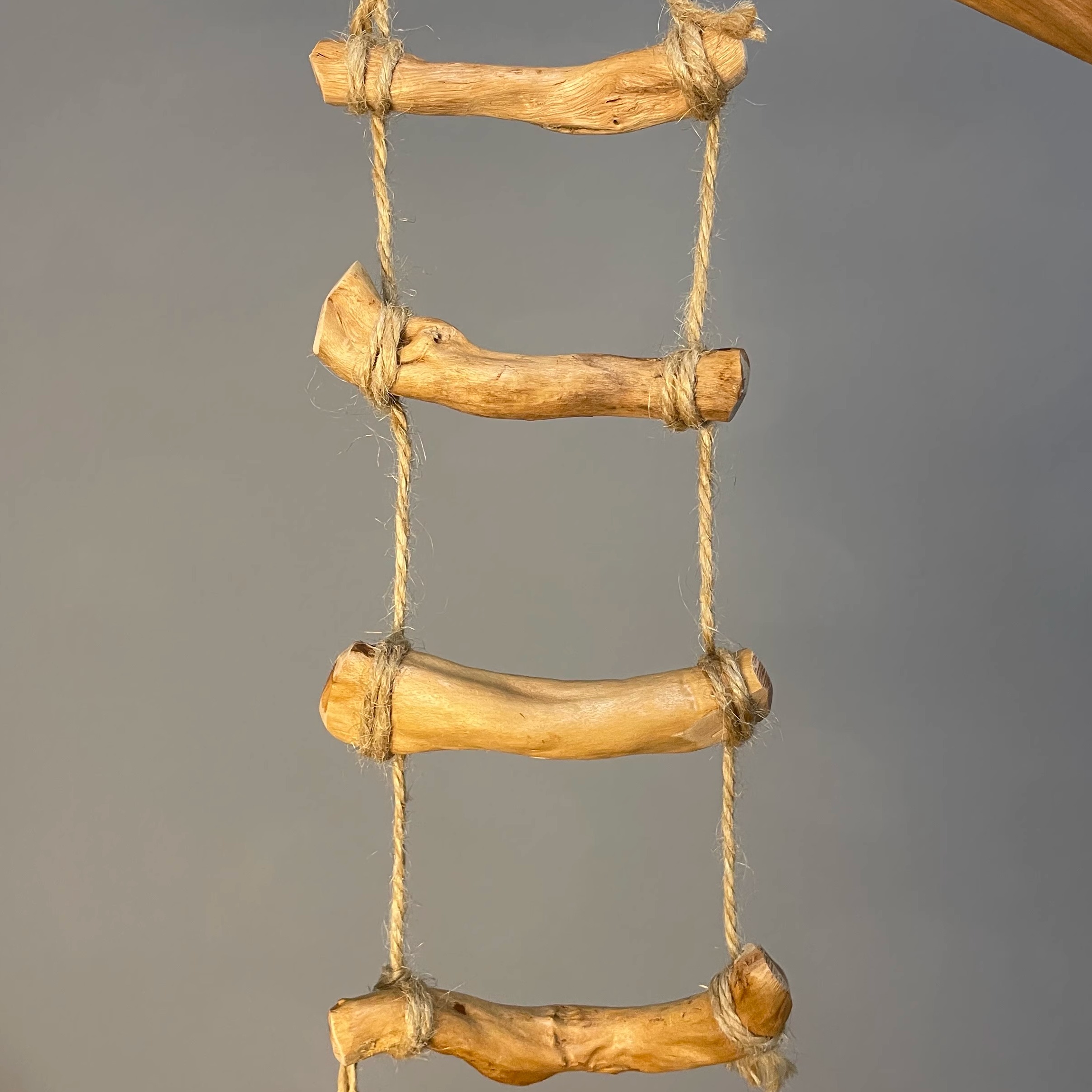 鹦鹉啃咬玩具实木云梯造景解闷