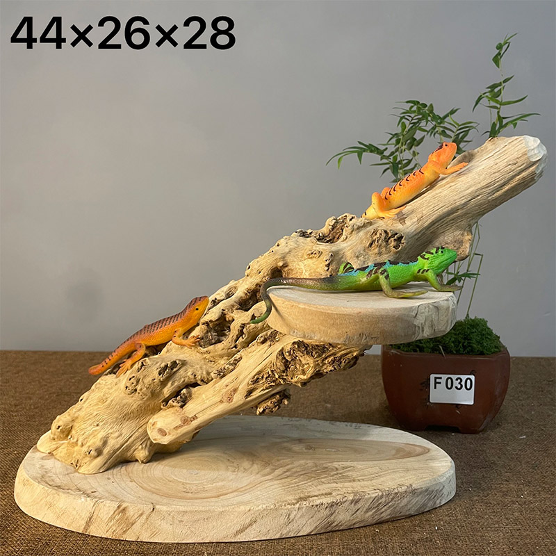 守宫蜥蜴爬宠攀爬架睫角蛇宠晒台天然实木雨林缸造景爬虫躲避爬木