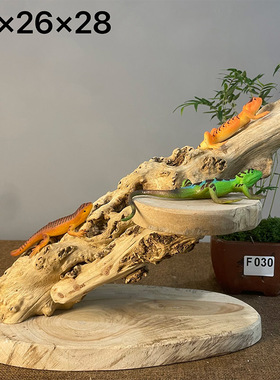 守宫蜥蜴爬宠攀爬架睫角蛇宠晒台天然实木雨林缸造景爬虫躲避爬木