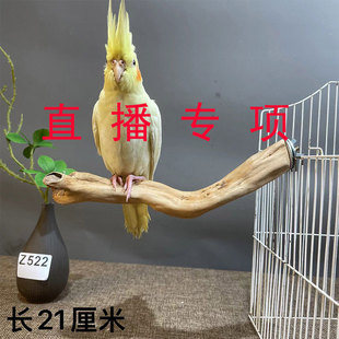 饰小鸟站杆树枝摆件文玩 一物一拍 原木鹦鹉小鸟站架手串收纳装
