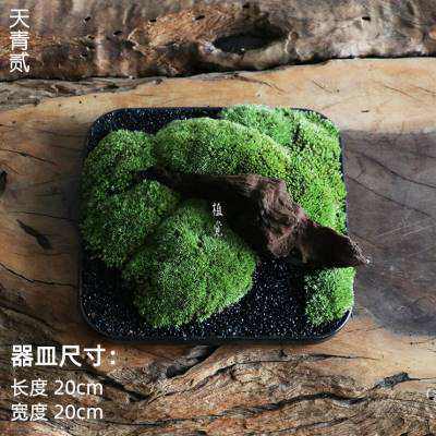 极速植觉 天青 苔藓盆景室内绿植盆景新中式摆件茶室茶空间造景景