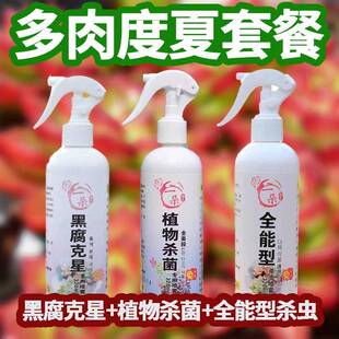极速预防黑腐病药多肉肉肉白粉病黑腐化水剂预防烂根药喷雾剂