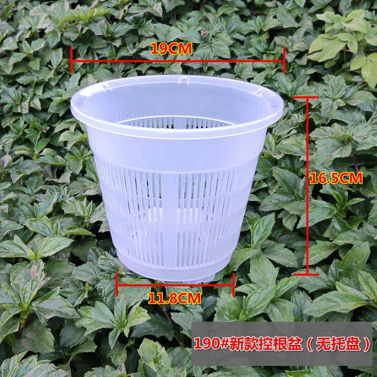 极速新款蝴蝶兰花专用控根花盆多肉石斛透气沥水网格定植篮育苗营