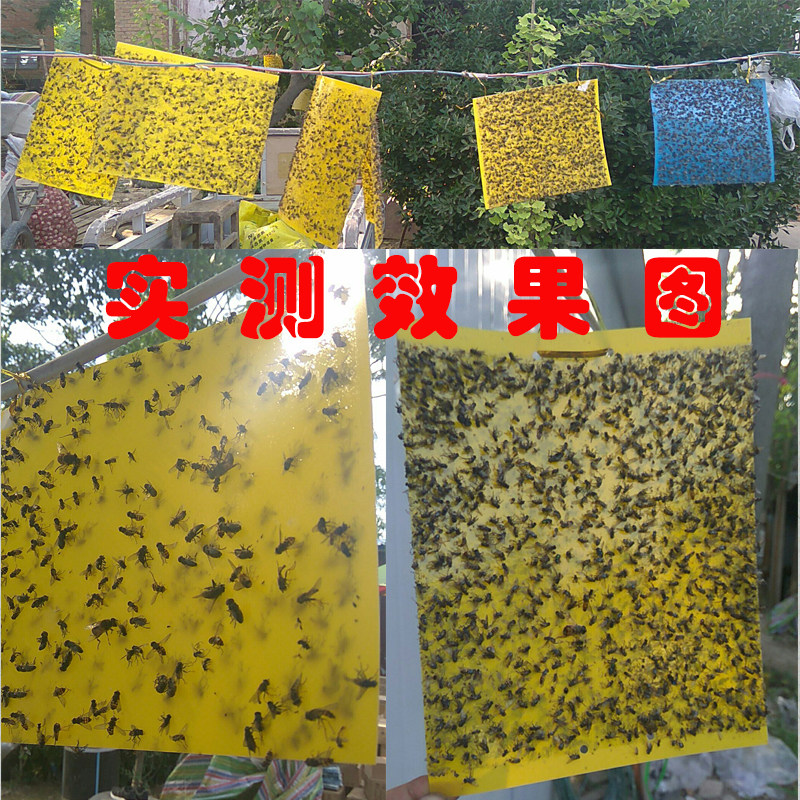 极速黄色粘虫板黄板双面诱虫板包邮飞虫粘虫蓝板黏虫板果园大棚防