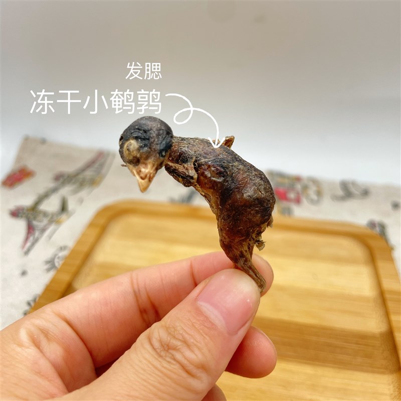 冻干猫咪零食宠物泰迪金毛狗狗小鸡仔小型犬大型犬磨牙营养小鹌鹑