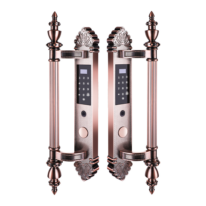 别墅大门指纹锁双开门智能密码锁家用防盗门锁欧式远程配假锁