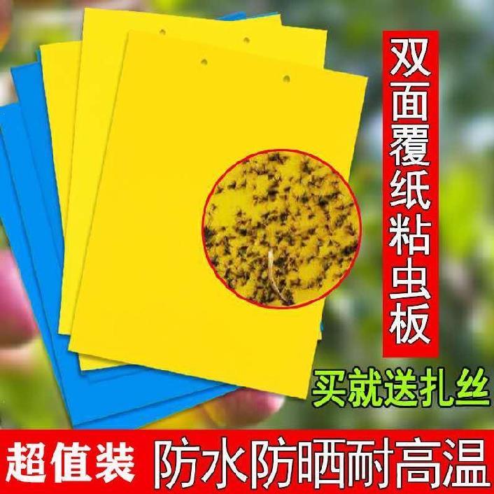 极速黄板双面粘虫板果蝇果树花圃小飞虫菜棚园林多肉黏虫室外防蚊