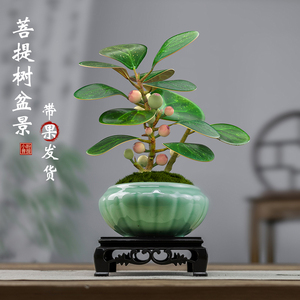 极速小盼菩提树盆栽带果植物办公室内花卉桌面绿植盆景好养活禅意