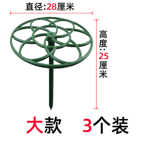 极速向日葵棒棒糖造型支架蟹爪兰爬藤嫁接单层多层支撑托架花架子