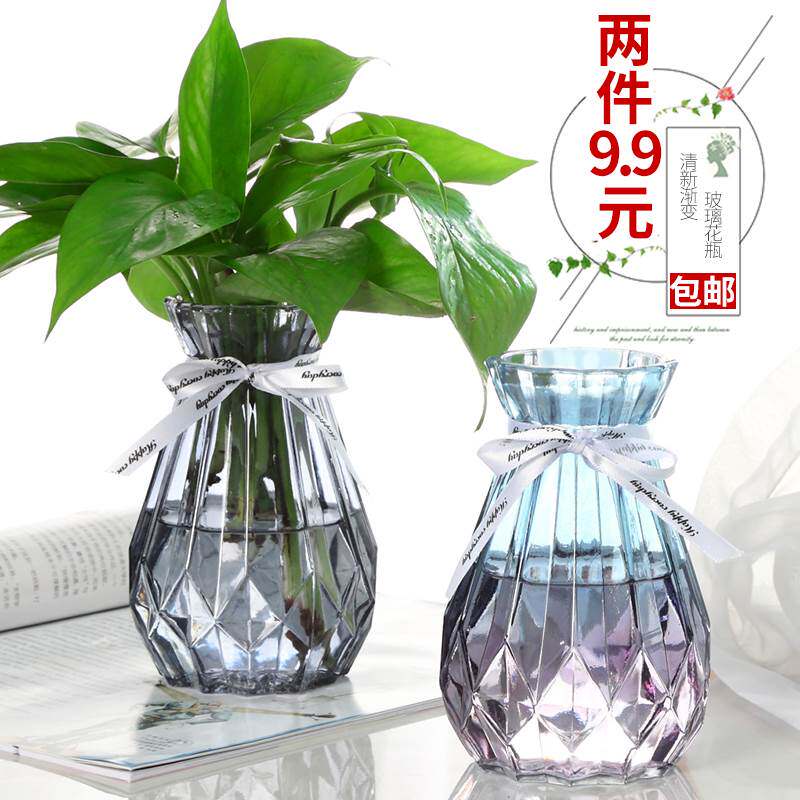 极速新疆西藏包邮简约创意玻璃花瓶透明水培植物铜钱草花盆彩色风