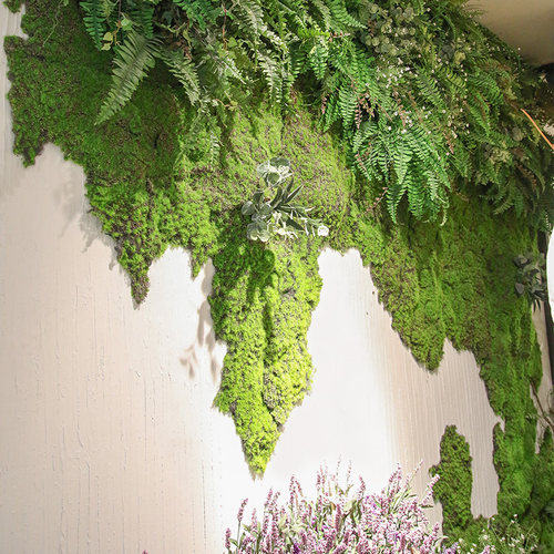 极速仿真青苔藓草坪造景绿植物墙人造微景观盆景假草皮假苔藓装饰