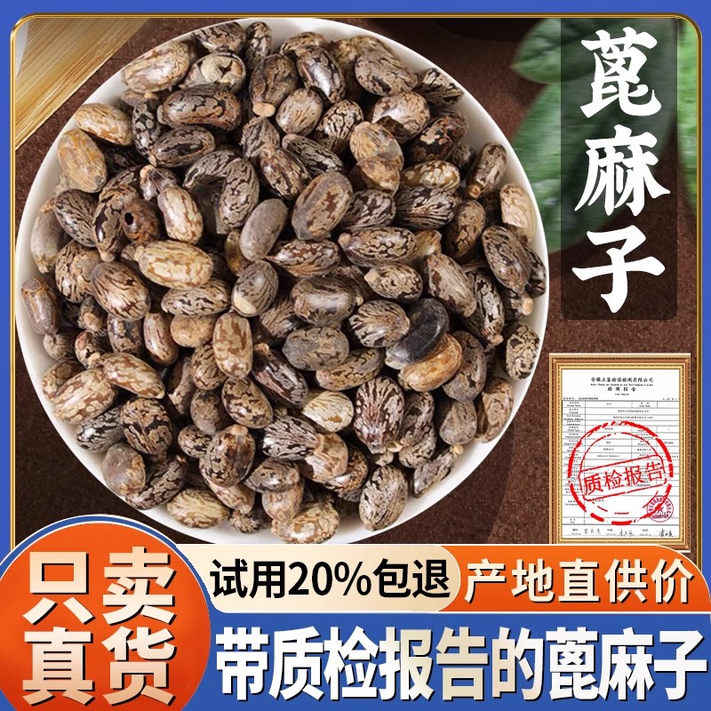 蓖麻子500g克蓖麻籽种子新鲜干货生蓖麻仁红大蓖麻子非中药材
