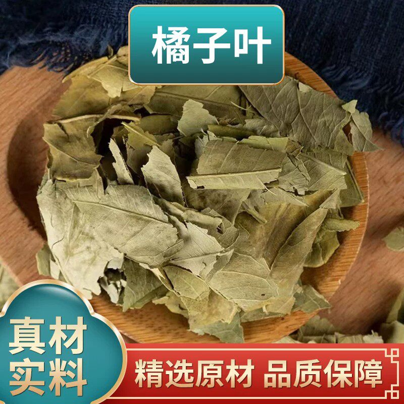 橘叶中药材500g无硫新鲜干橘子叶桔叶桔子叶青桔叶柑橘叶新货正品