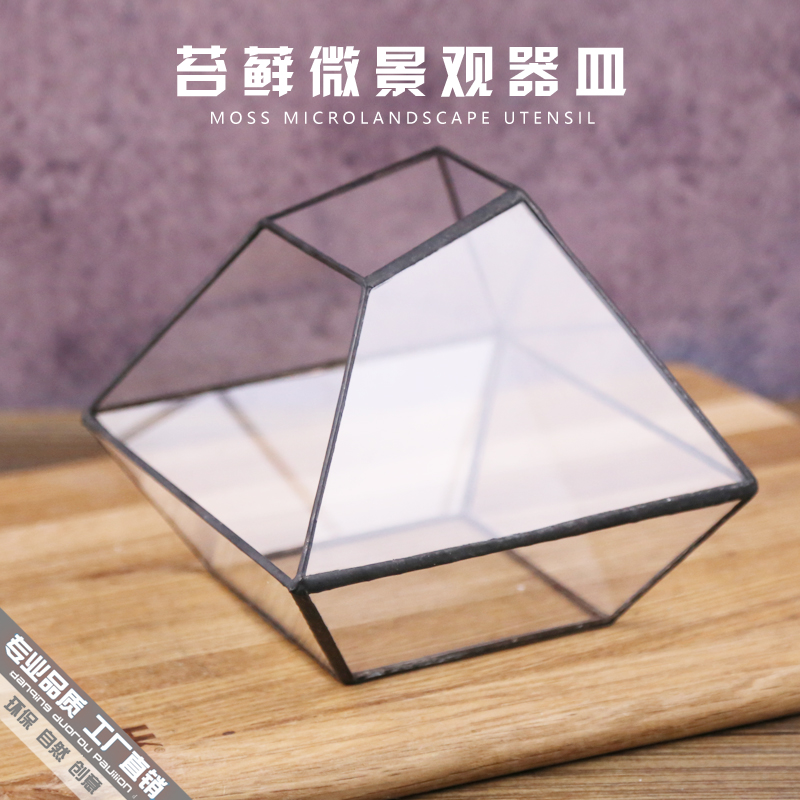 苔藓微缩景观玻璃花房器皿造景花盆雨林缸多肉办公室家居摆饰送礼
