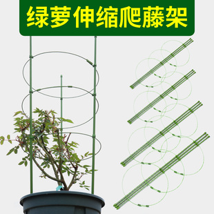 绿萝爬藤杆绿萝花架子室内客厅绿萝架子落地式 攀爬架支架爬藤架子