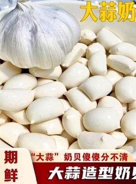 大蒜奶贝内蒙古奶泡泡奶酥脆奶泡休闲食品维怡特奶酪大蒜造型奶贝