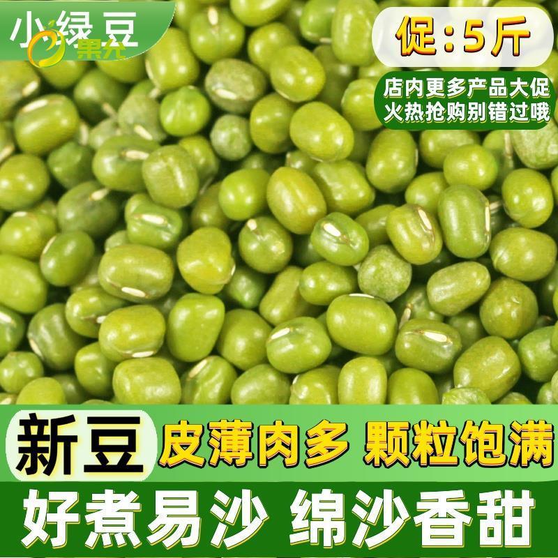 新货绿豆小绿豆 5斤农家自产发新鲜豆芽夏天熬绿豆汤材料小绿豆粥