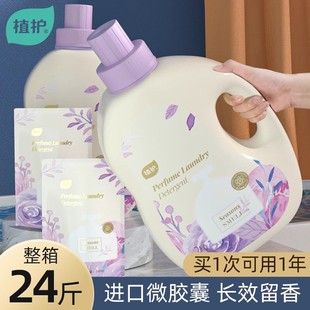 植护香水洗衣液整箱批家用香味持久留香补充袋实惠装 官方旗舰店