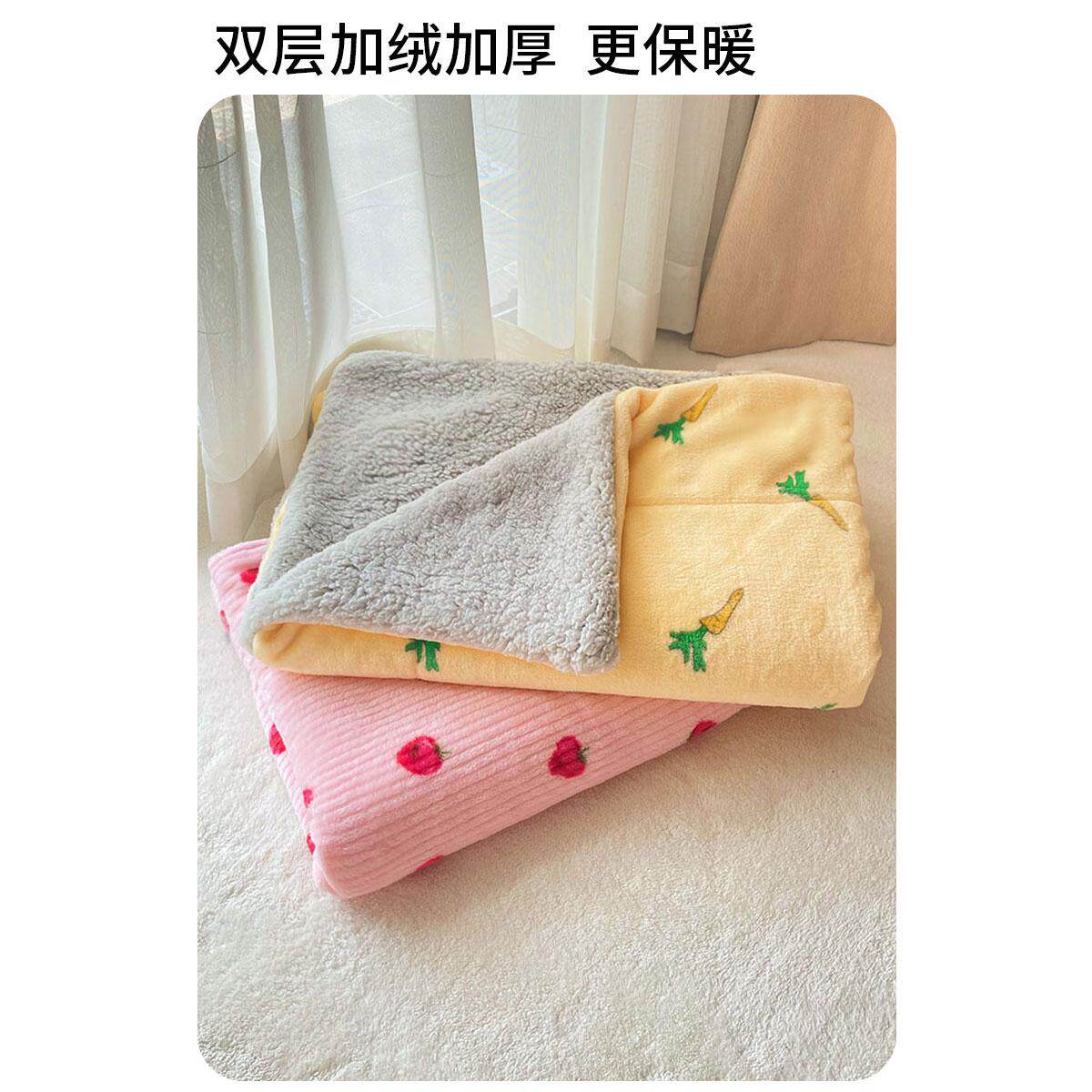 宠物毛毯猫咪专用小被子猫垫子狗狗睡觉毯子狗睡垫四季通用珊瑚绒