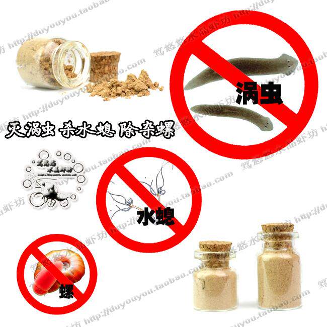 笃悠悠原创 涡虫粉剂水螅灭螺除蜗牛除涡虫灭虫除扁螺线虫 包邮