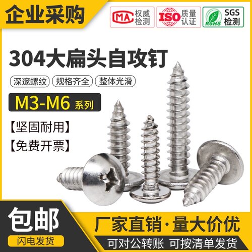 304不锈钢大扁头自攻螺丝钉十字大伞头TA蘑菇圆头木螺钉 M3M4M5M6