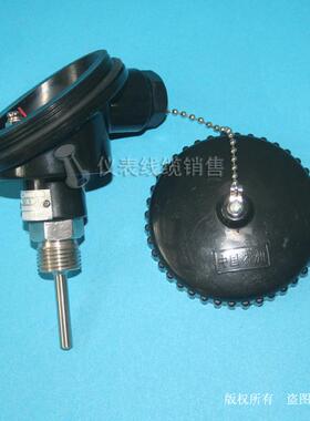 胶木盒子热电阻   WZPK-236  PT100温度传感器   WZPK-238