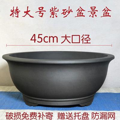 假山底盘紫砂花盆浅盆特大椭圆形无孔桌面吸水石盆有孔造景上水石